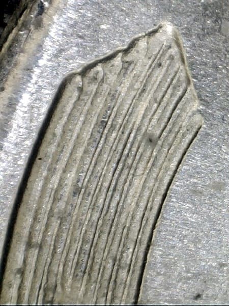 1943-S Doubled Die Reverse WDDR-006