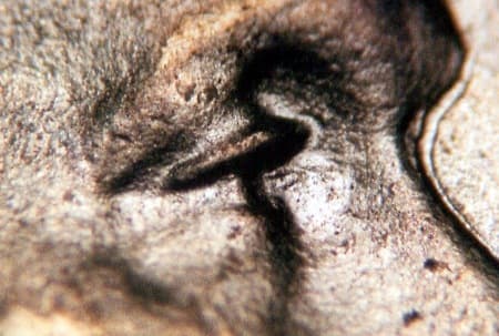 1943 Doubled Die Obverse WDDO-032
