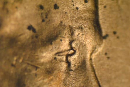 1946-D Doubled Die Obverse WDDO-021