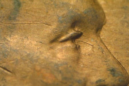 1946-D Doubled Die Obverse WDDO-024