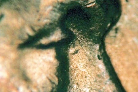 1953-S Doubled Die Obverse WDDO-002