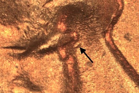 1953 Doubled Die Obverse WDDO-003
