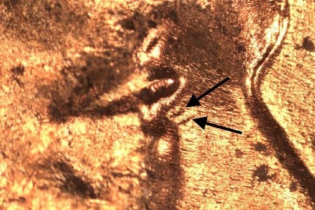 1955-D Doubled Die Obverse WDDO-009