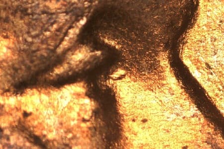 1955-D Doubled Die Obverse WDDO-014