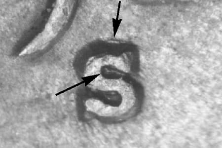 1929-S Repunched Mintmark WRPM-007
