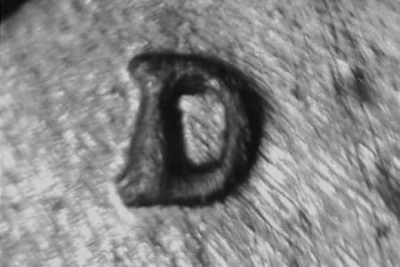 1946-D Repunched Mintmark WRPM-079