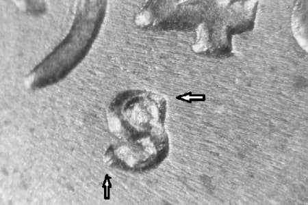 1948-S Repunched Mintmark WRPM-029