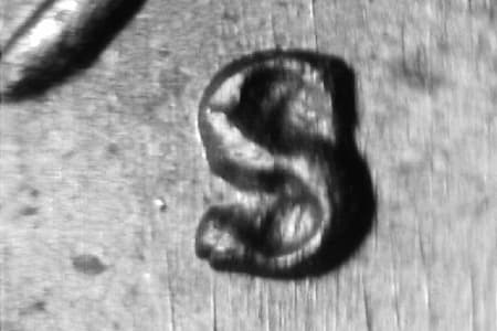 1948-S Repunched Mintmark WRPM-034