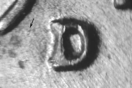1949-D Repunched Mintmark WRPM-048