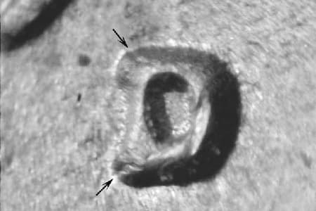 1949-D Repunched Mintmark WRPM-051