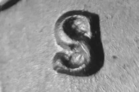 1949-S Repunched Mintmark WRPM-023