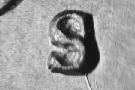 1949-S Repunched Mintmark WRPM-047