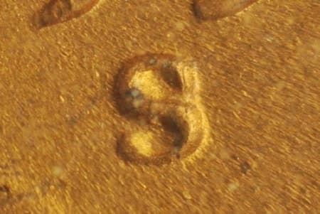 1951-S Repunched Mintmark WRPM-019