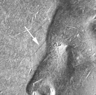 1923-S Typical Die Clash TDC-100C-1923S-01