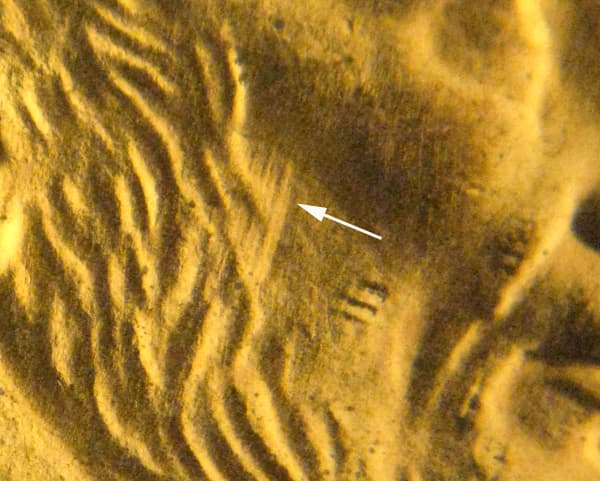 2006P-1DEO-023T Trail Die Obverse