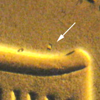 2014P-1DEO-009T Trail Die Obverse