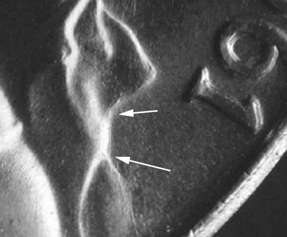 1961P-5DER-001T Trail Die Reverse
