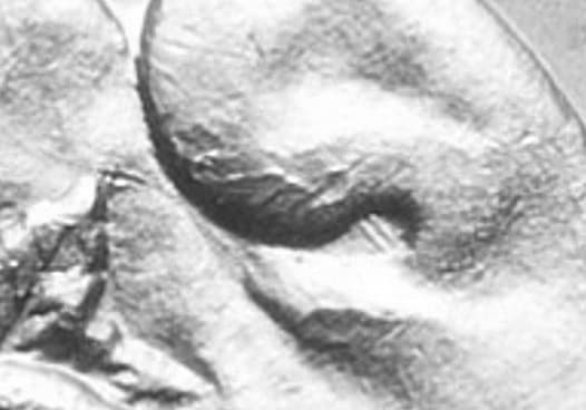 1878-P VAM-100