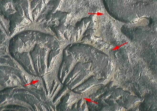 1878-P VAM-14.15