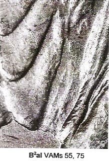 1878-S VAM-75