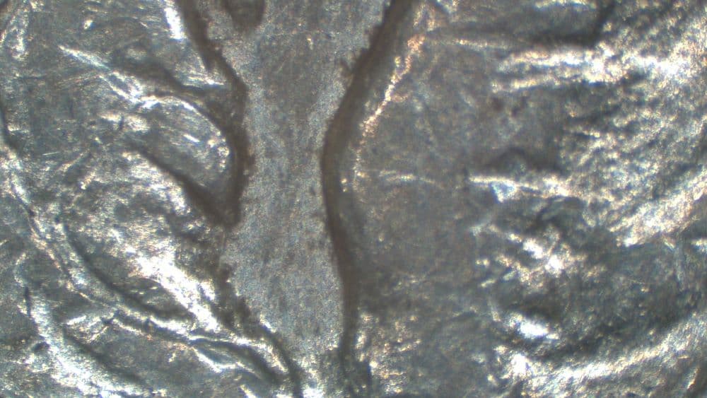 1879-S VAM-135