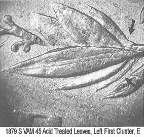 1879-S VAM-45