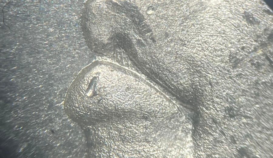 1879-S VAM-68
