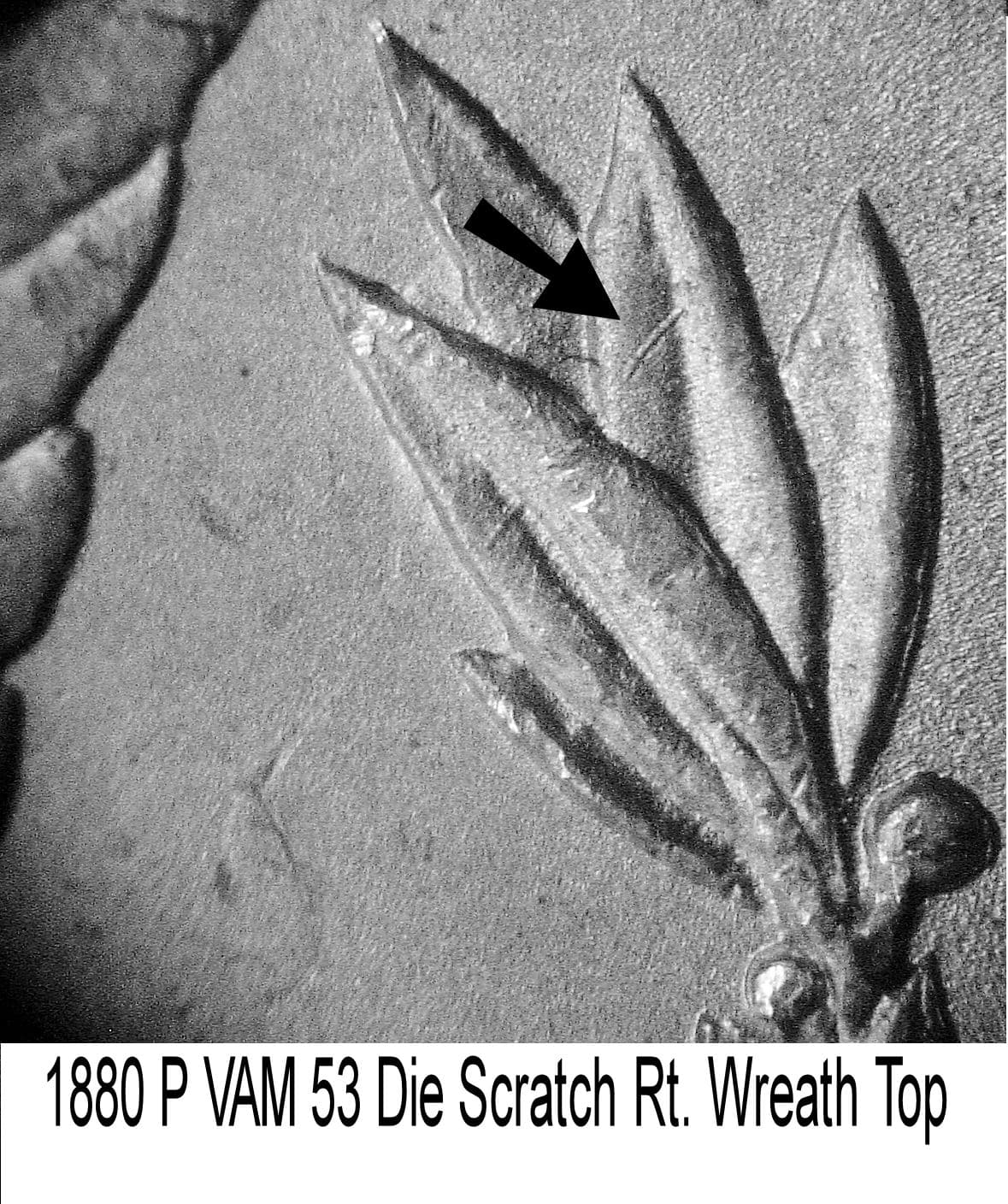 1880-P VAM-53