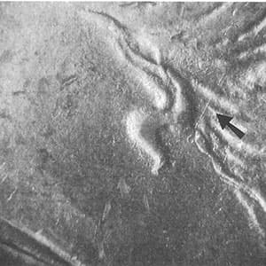 1881-O VAM-65