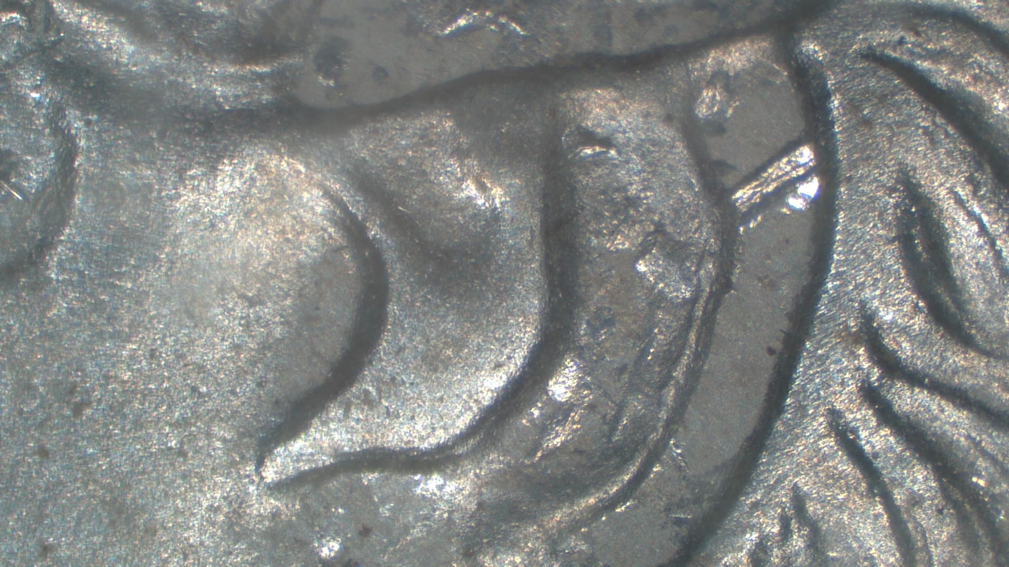 1885-O VAM-17