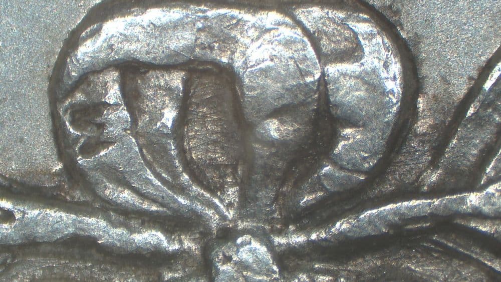 1890-O VAM-2D