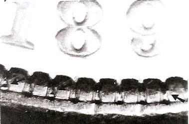 1891-S VAM-11