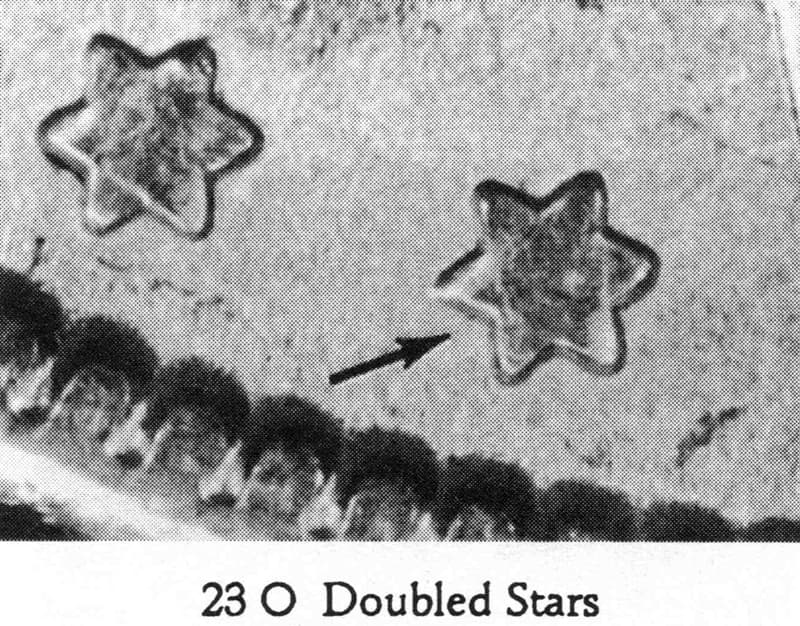 1900-P VAM-23