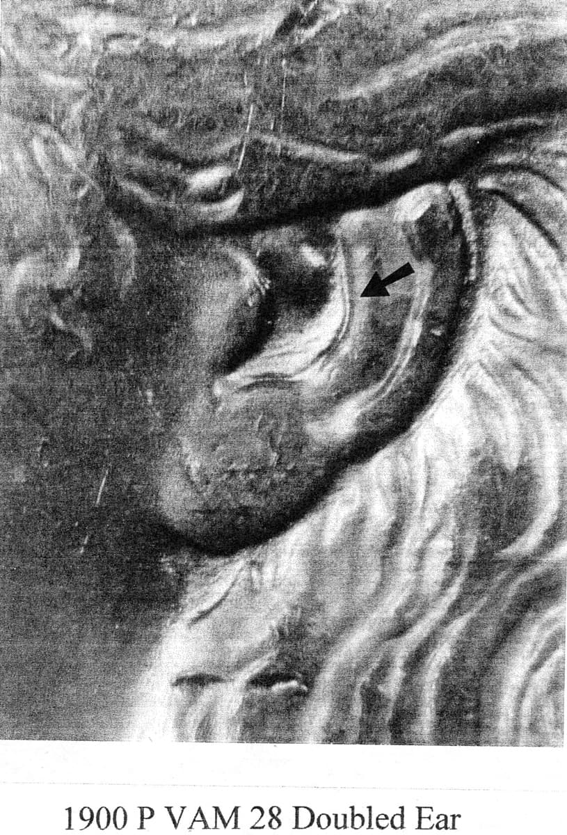 1900-P VAM-28