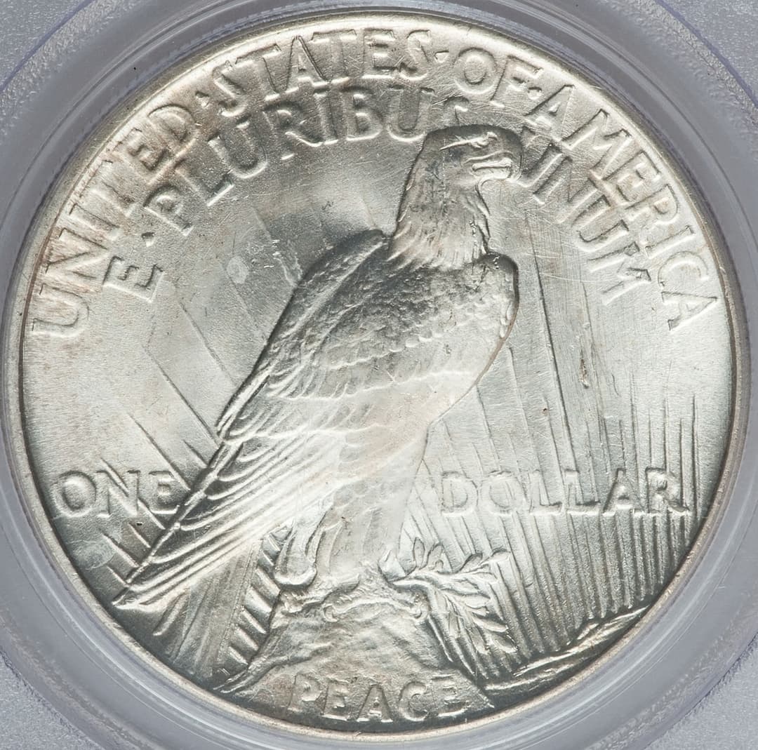 1921-P Peace VAM-1A