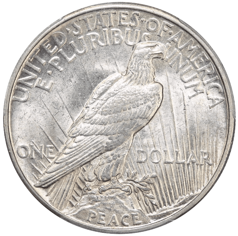 1921-P Peace VAM-1H