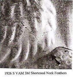 1926-S VAM-3M