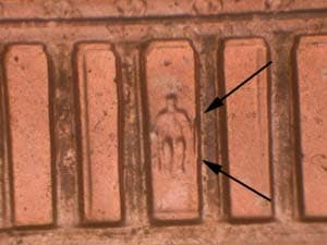 2001 Doubled Die Reverse DDR-030