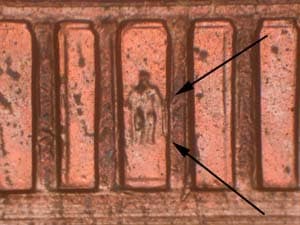 2002 Doubled Die Reverse DDR-019