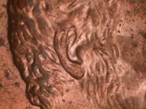 2006 Doubled Die Obverse DDO-004