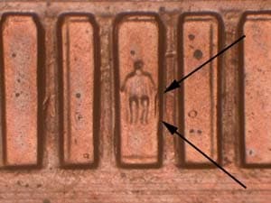 2006 Doubled Die Reverse DDR-033