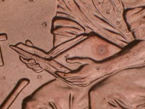 2009 Doubled Die Reverse DDR-022
