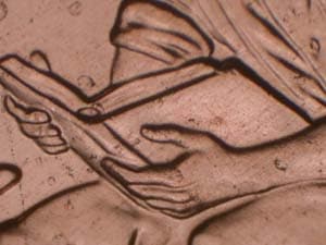 2009 Doubled Die Reverse DDR-041