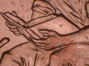 2009 Doubled Die Reverse DDR-065