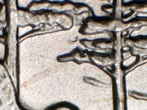 2005 Doubled Die Reverse DDR-007