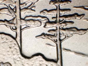 2005 Doubled Die Reverse DDR-036