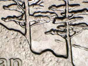 2005 Doubled Die Reverse DDR-050