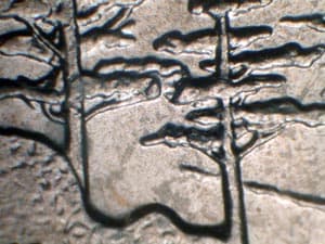 2005 Doubled Die Reverse DDR-059