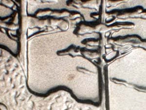 2005-S Doubled Die Reverse DDR-001