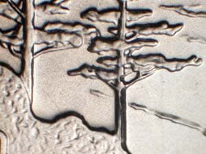 2005-S Doubled Die Reverse DDR-002